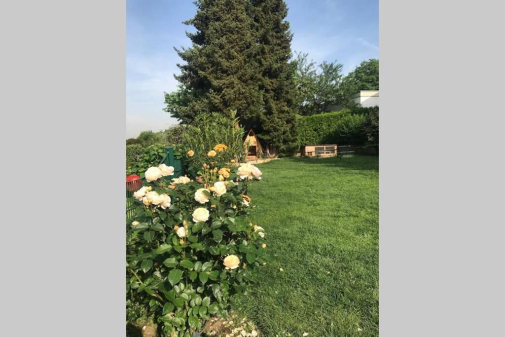 Esslingen Apartment: Long-stay Comfort Near Stuttgart Messe & Airport *